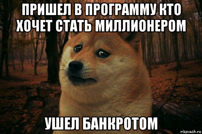 пришел в программу кто хочет стать миллионером ушел банкротом, Мем SAD DOGE