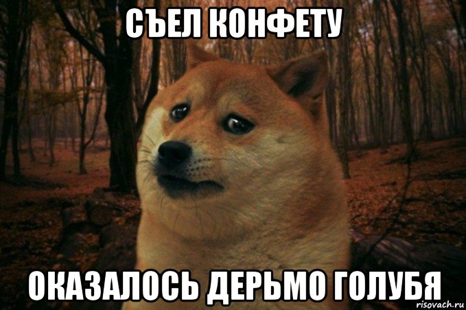 съел конфету оказалось дерьмо голубя, Мем SAD DOGE