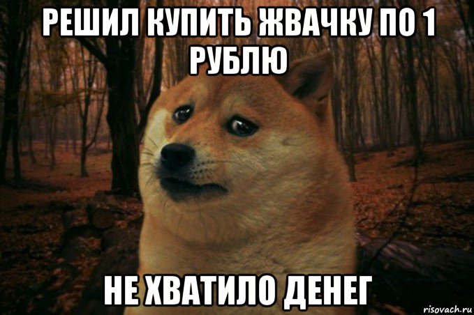 решил купить жвачку по 1 рублю не хватило денег, Мем SAD DOGE