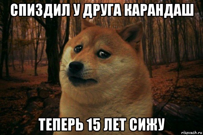 спиздил у друга карандаш теперь 15 лет сижу, Мем SAD DOGE