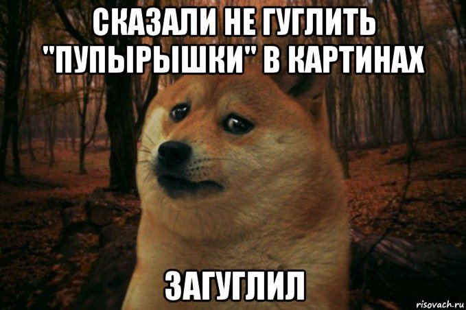 сказали не гуглить "пупырышки" в картинах загуглил, Мем SAD DOGE