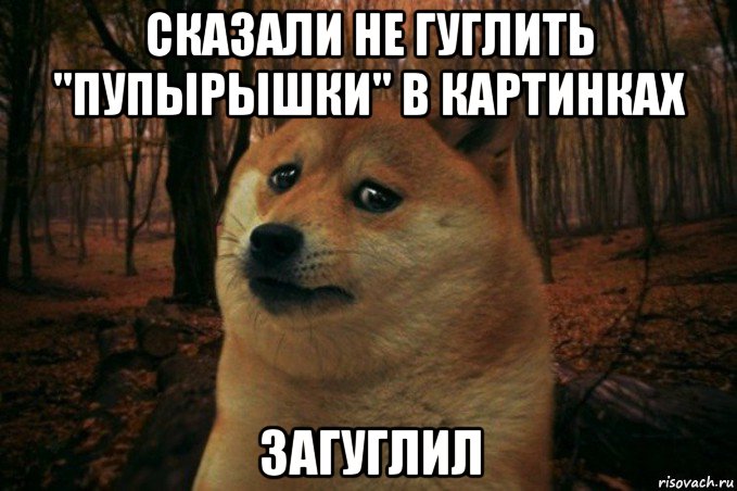 сказали не гуглить "пупырышки" в картинках загуглил, Мем SAD DOGE