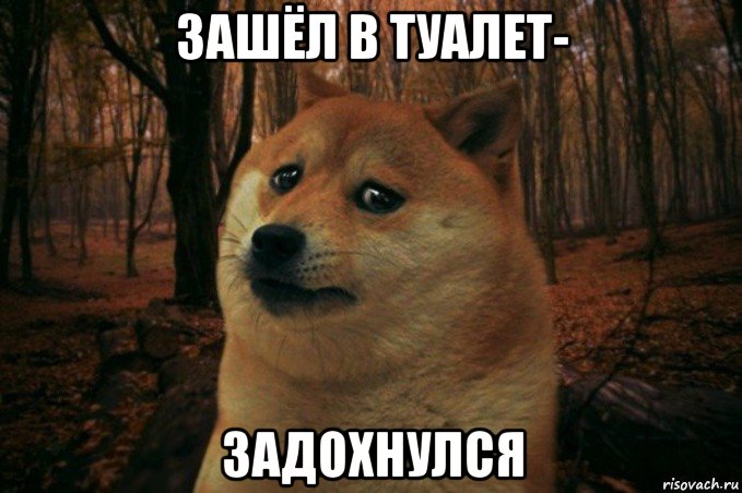 зашёл в туалет- задохнулся, Мем SAD DOGE