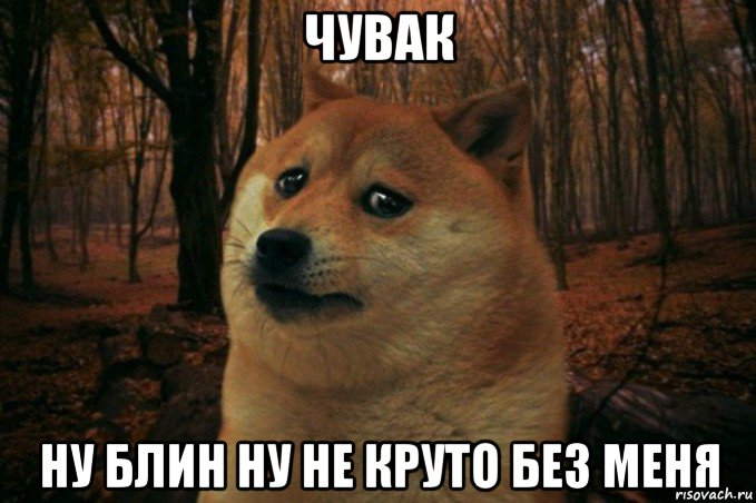 чувак ну блин ну не круто без меня, Мем SAD DOGE