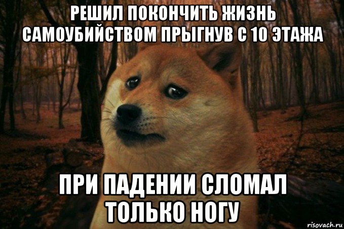 решил покончить жизнь самоубийством прыгнув с 10 этажа при падении сломал только ногу, Мем SAD DOGE