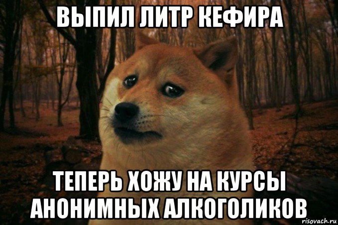 выпил литр кефира теперь хожу на курсы анонимных алкоголиков, Мем SAD DOGE