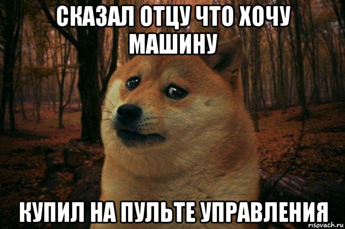 сказал отцу что хочу машину купил на пульте управления, Мем SAD DOGE