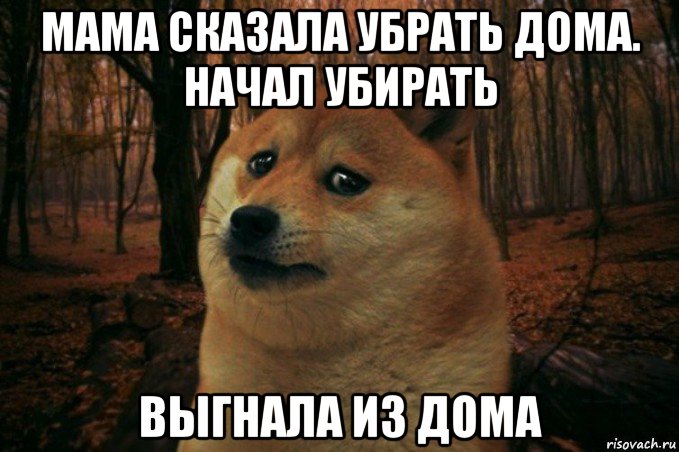 мама сказала убрать дома. начал убирать выгнала из дома, Мем SAD DOGE