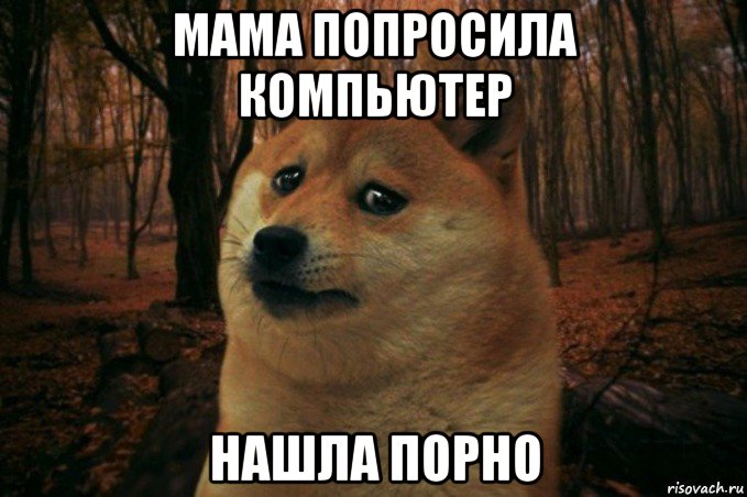 мама попросила компьютер нашла порно, Мем SAD DOGE