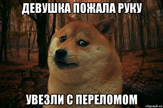 девушка пожала руку увезли с переломом, Мем SAD DOGE