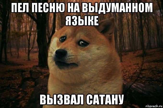 пел песню на выдуманном языке вызвал сатану, Мем SAD DOGE