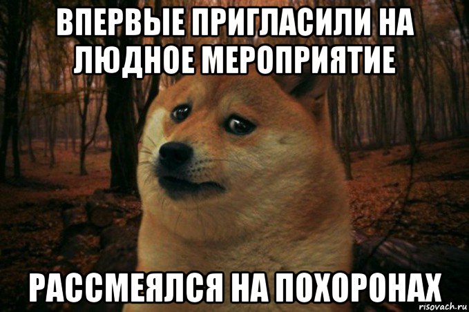 впервые пригласили на людное мероприятие рассмеялся на похоронах, Мем SAD DOGE