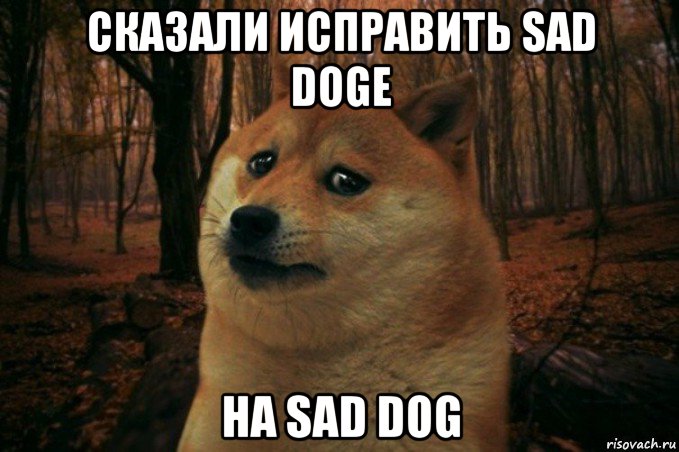 сказали исправить sad doge на sad dog, Мем SAD DOGE