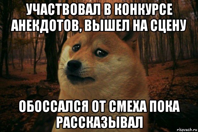 участвовал в конкурсе анекдотов, вышел на сцену обоссался от смеха пока рассказывал, Мем SAD DOGE