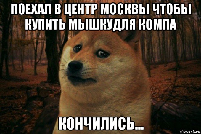 поехал в центр москвы чтобы купить мышкудля компа кончились..., Мем SAD DOGE