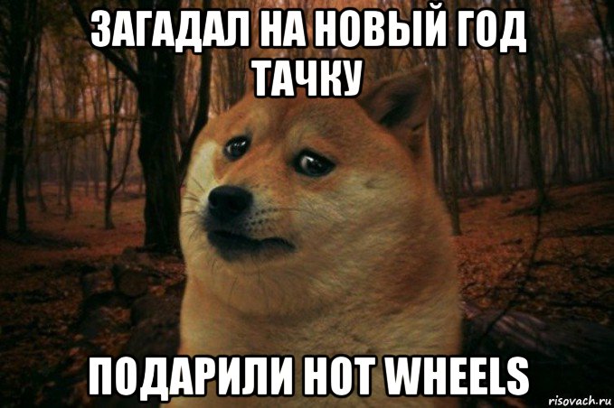 загадал на новый год тачку подарили hot wheels