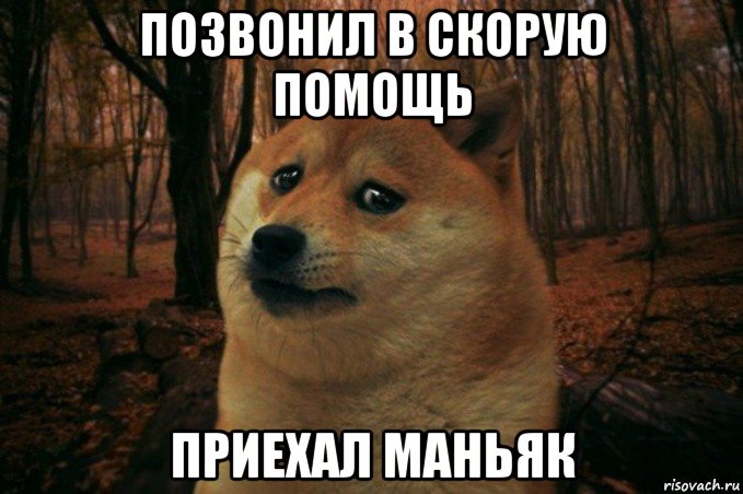 позвонил в скорую помощь приехал маньяк, Мем SAD DOGE