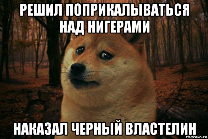 решил поприкалываться над нигерами наказал черный властелин, Мем SAD DOGE