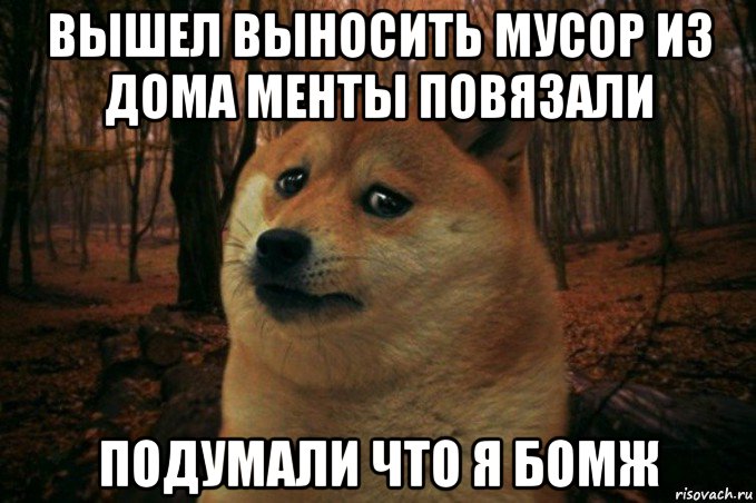 вышел выносить мусор из дома менты повязали подумали что я бомж, Мем SAD DOGE