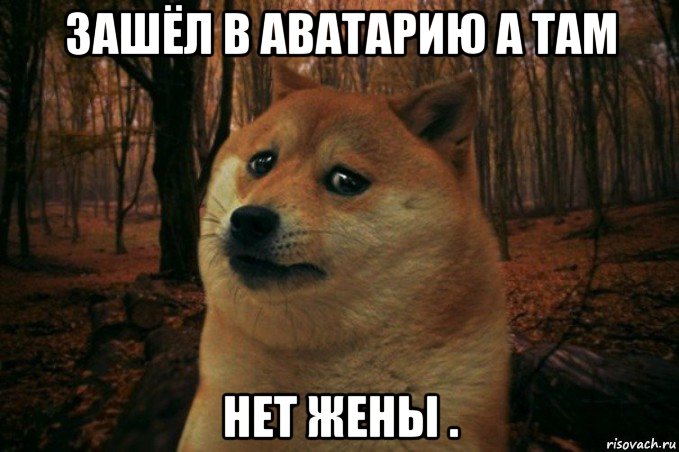 зашёл в аватарию а там нет жены ., Мем SAD DOGE