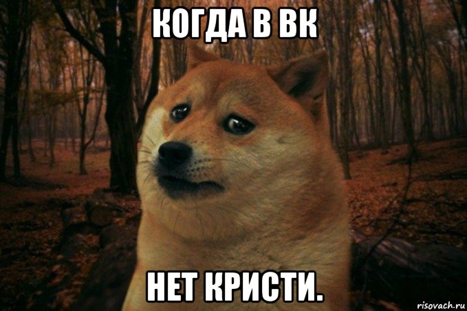 когда в вк нет кристи., Мем SAD DOGE