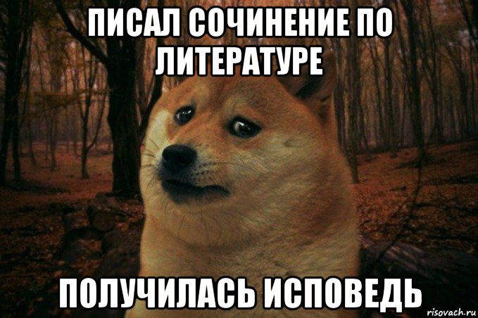 писал сочинение по литературе получилась исповедь, Мем SAD DOGE