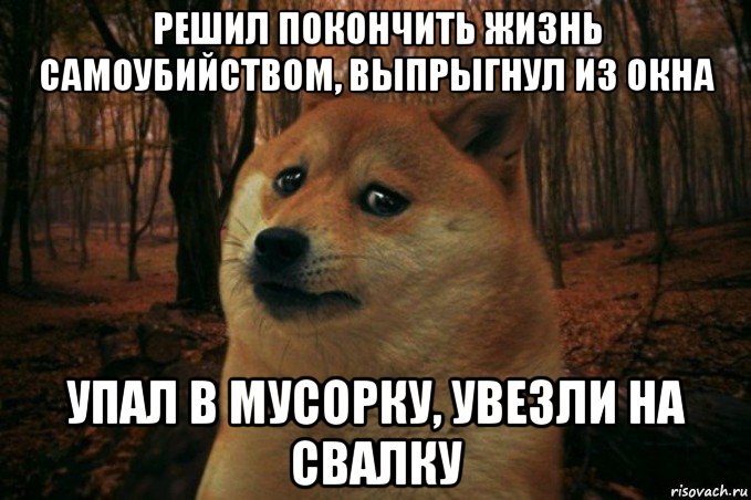 решил покончить жизнь самоубийством, выпрыгнул из окна упал в мусорку, увезли на свалку, Мем SAD DOGE