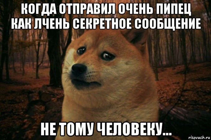 когда отправил очень пипец как лчень секретное сообщение не тому человеку..., Мем SAD DOGE