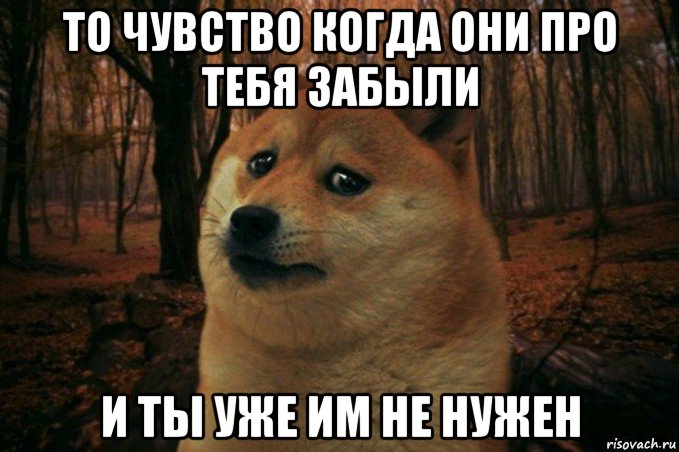 то чувство когда они про тебя забыли и ты уже им не нужен, Мем SAD DOGE