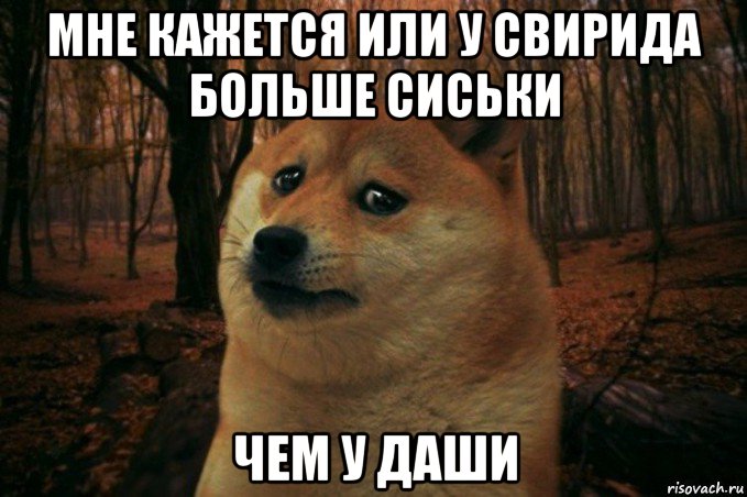 мне кажется или у свирида больше сиськи чем у даши, Мем SAD DOGE