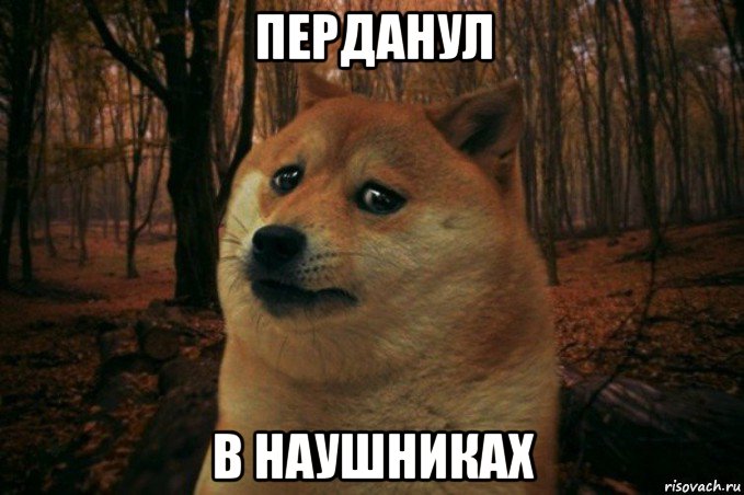 перданул в наушниках, Мем SAD DOGE