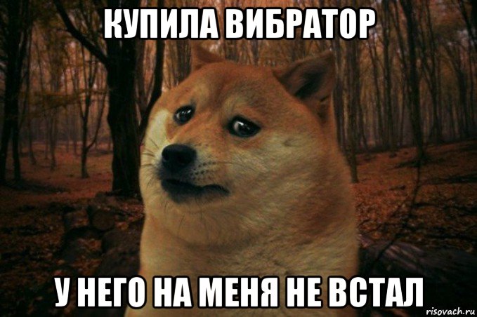 купила вибратор у него на меня не встал, Мем SAD DOGE