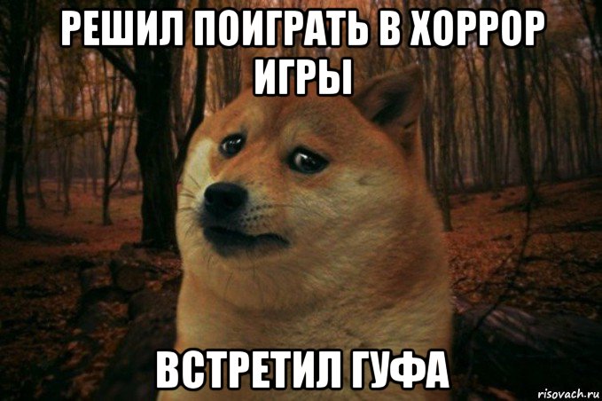 решил поиграть в хоррор игры встретил гуфа, Мем SAD DOGE