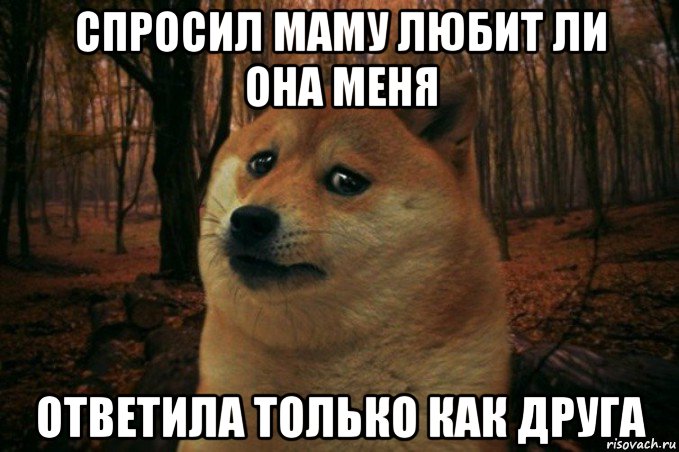 спросил маму любит ли она меня ответила только как друга, Мем SAD DOGE