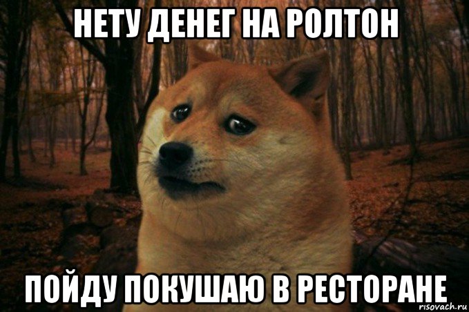 нету денег на ролтон пойду покушаю в ресторане, Мем SAD DOGE