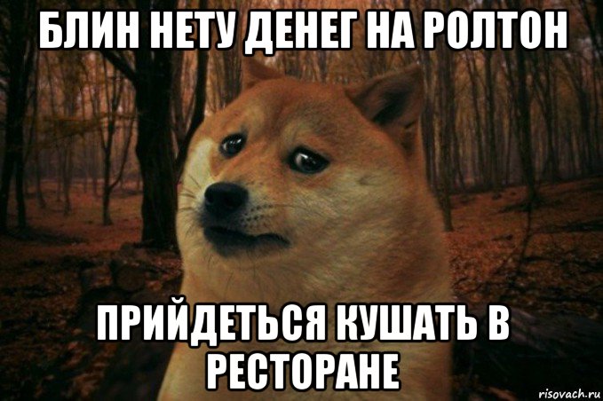 блин нету денег на ролтон прийдеться кушать в ресторане, Мем SAD DOGE