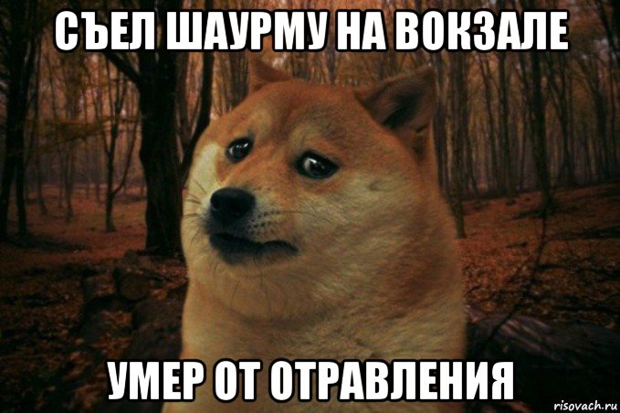 съел шаурму на вокзале умер от отравления, Мем SAD DOGE