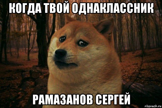 когда твой однаклассник рамазанов сергей, Мем SAD DOGE