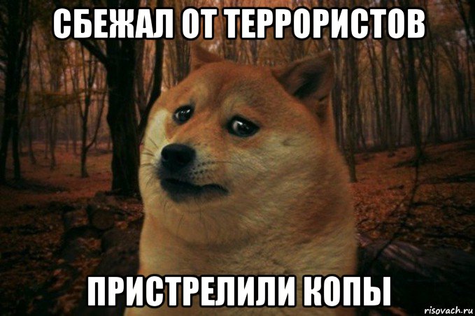 сбежал от террористов пристрелили копы, Мем SAD DOGE