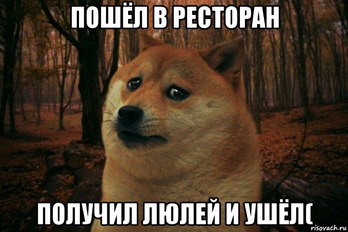 пошёл в ресторан получил люлей и ушёл(, Мем SAD DOGE