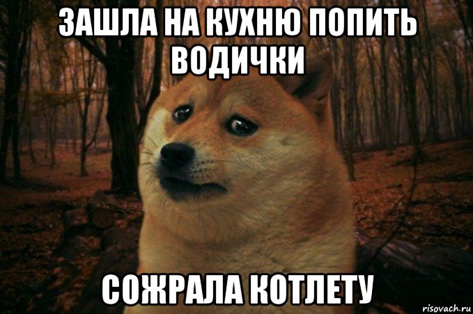 зашла на кухню попить водички сожрала котлету, Мем SAD DOGE