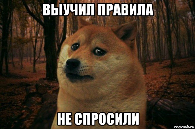 выучил правила не спросили, Мем SAD DOGE