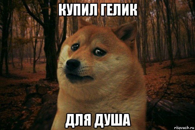 купил гелик для душа, Мем SAD DOGE