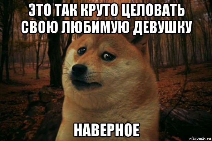 это так круто целовать свою любимую девушку наверное, Мем SAD DOGE