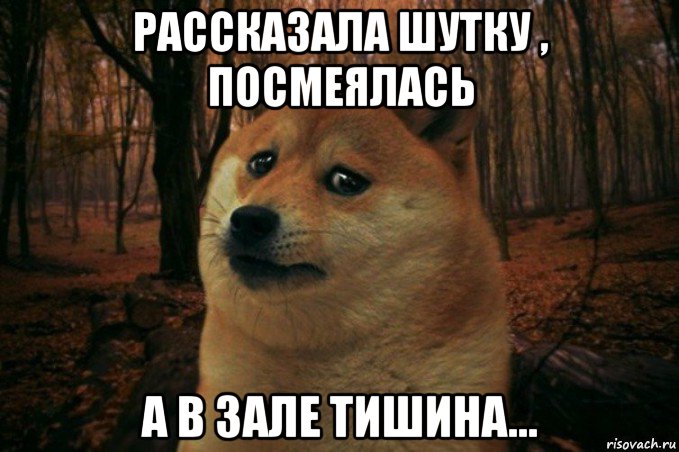 рассказала шутку , посмеялась а в зале тишина..., Мем SAD DOGE