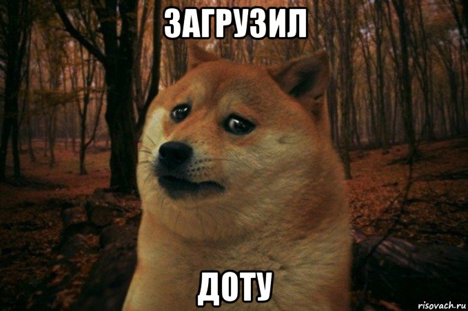 загрузил доту, Мем SAD DOGE