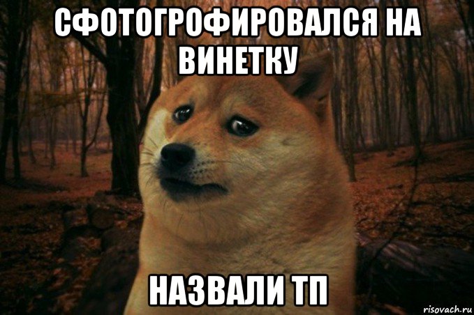 сфотогрофировался на винетку назвали тп, Мем SAD DOGE