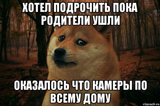 хотел подрочить пока родители ушли оказалось что камеры по всему дому, Мем SAD DOGE