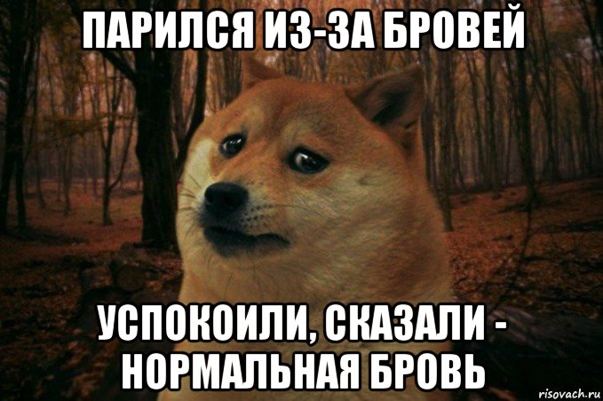 парился из-за бровей успокоили, сказали - нормальная бровь, Мем SAD DOGE