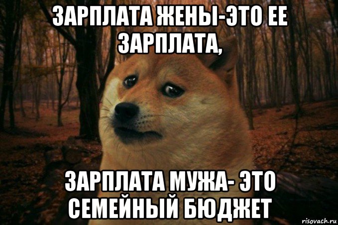 зарплата жены-это ее зарплата, зарплата мужа- это семейный бюджет, Мем SAD DOGE